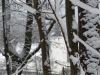 winterspaziergang_netphen-25